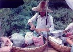 84- Selling the famous Hangzhou tea
