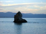 New Zealand 2008