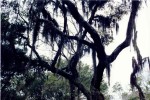 92- Louisiana