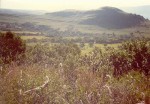 85- east of J'burg
