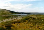 96- Fell view