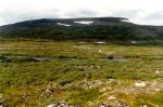 96- Fell view
