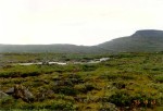 96- Fell view