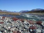Highlight for Album: New Zealand 2006