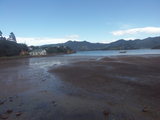View over Portobello Bay, Taiaroa Heads