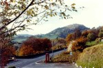 81- Somewhere in Wales