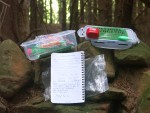 Geocache in one of the longest dry stones walls I have ever seen